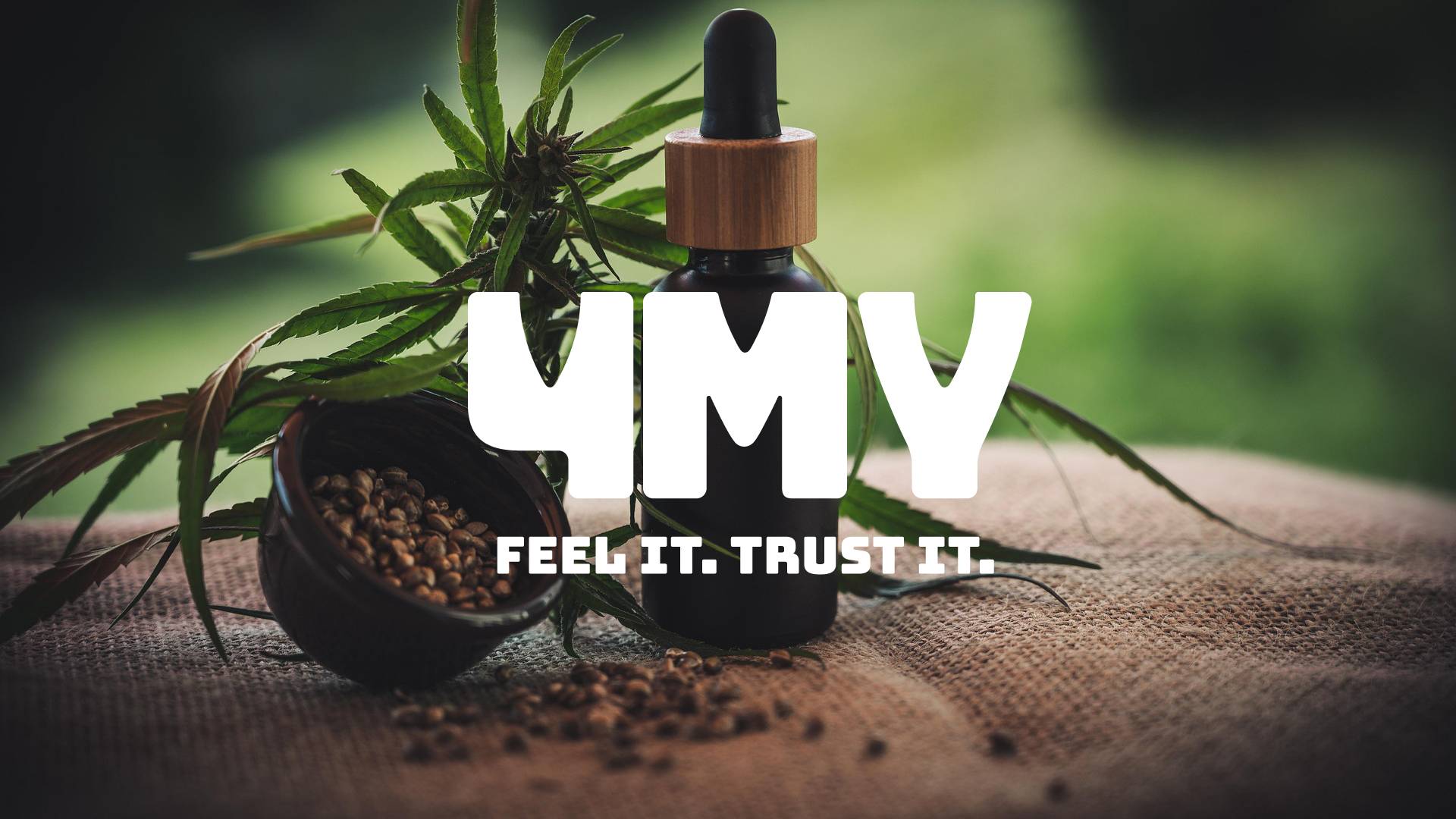 CBD Öl Flasche mit Hanfpflanze und Samen als Symbol für transparente Qualität, botanischen Ursprung und fundierte CBD Entscheidungen