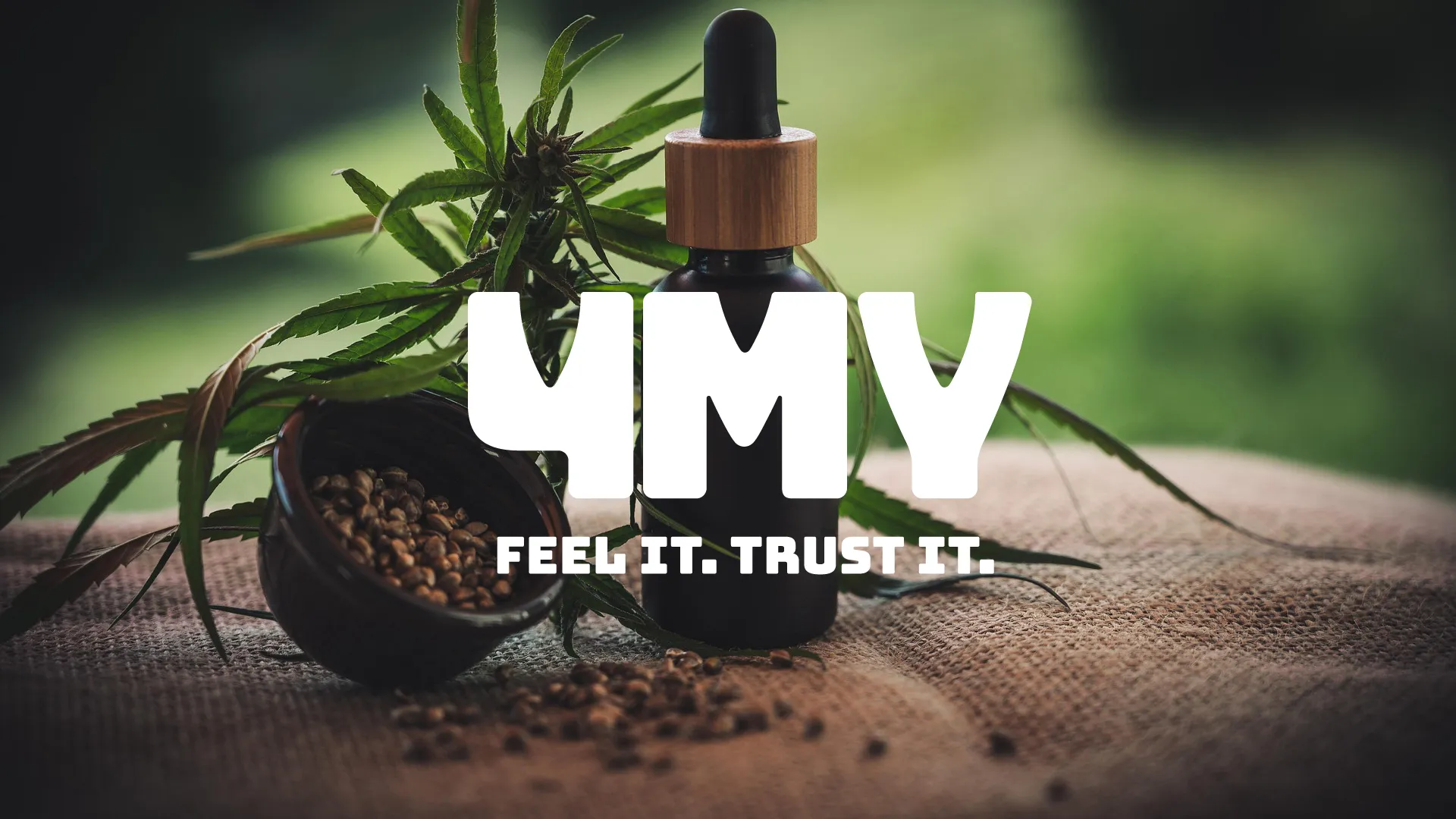 CBD Öl Flasche mit Hanfpflanze und Samen als Symbol für transparente Qualität, botanischen Ursprung und fundierte CBD Entscheidungen