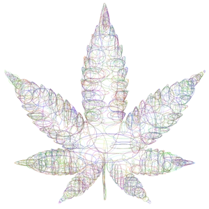 Cannabis Eigenanbau