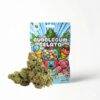 Bubblegum Gelato CBD Blüten in bunter 1g-Verpackung mit Kaugummiautomat, davor drei getrocknete Hanfblüten auf weißem Grund.