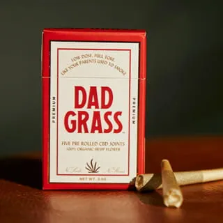 Hochwertige pre-rolled CBD-Joints als Beispiel für konsistente Hanf-Genetik