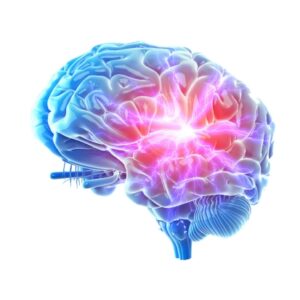 Die wirkung des Menschlichen Endocannabinoid-System