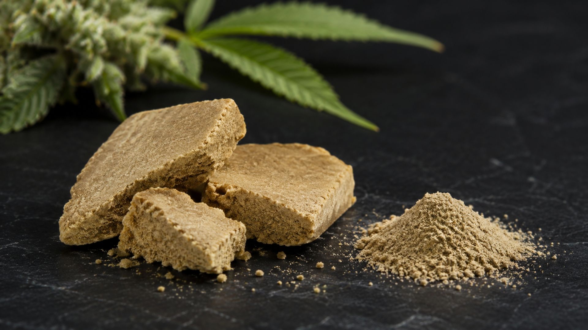 Static Hash Feingesiebtes Static Hash auf einer dunklen Oberfläche neben grünen Hanfblättern